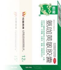 西药与感冒 正确认知与应用指南